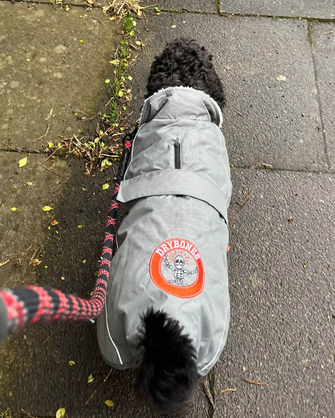 Dog Coat Size Guide | DRYBONES