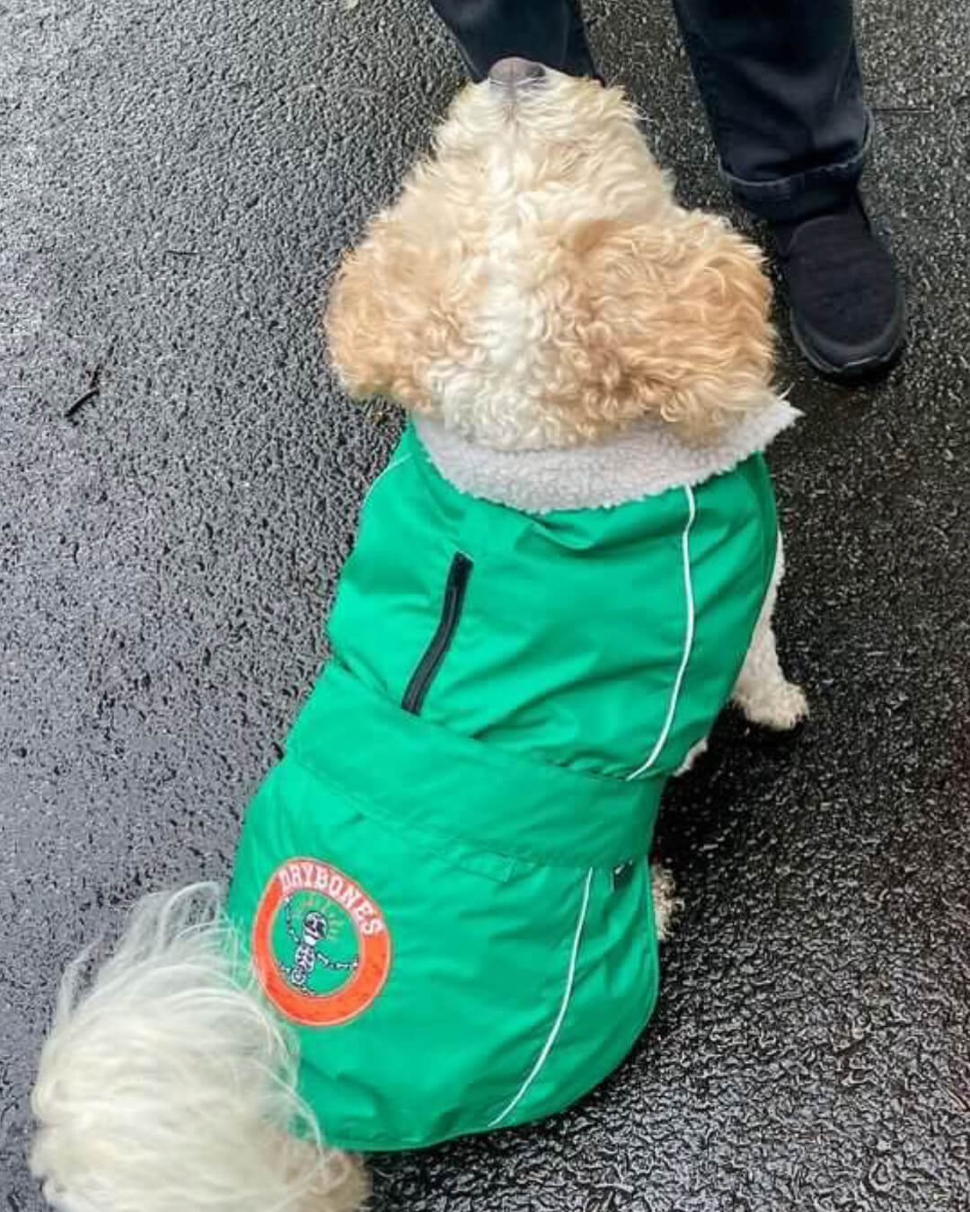 DRYBONES Waterproof Dog Coat