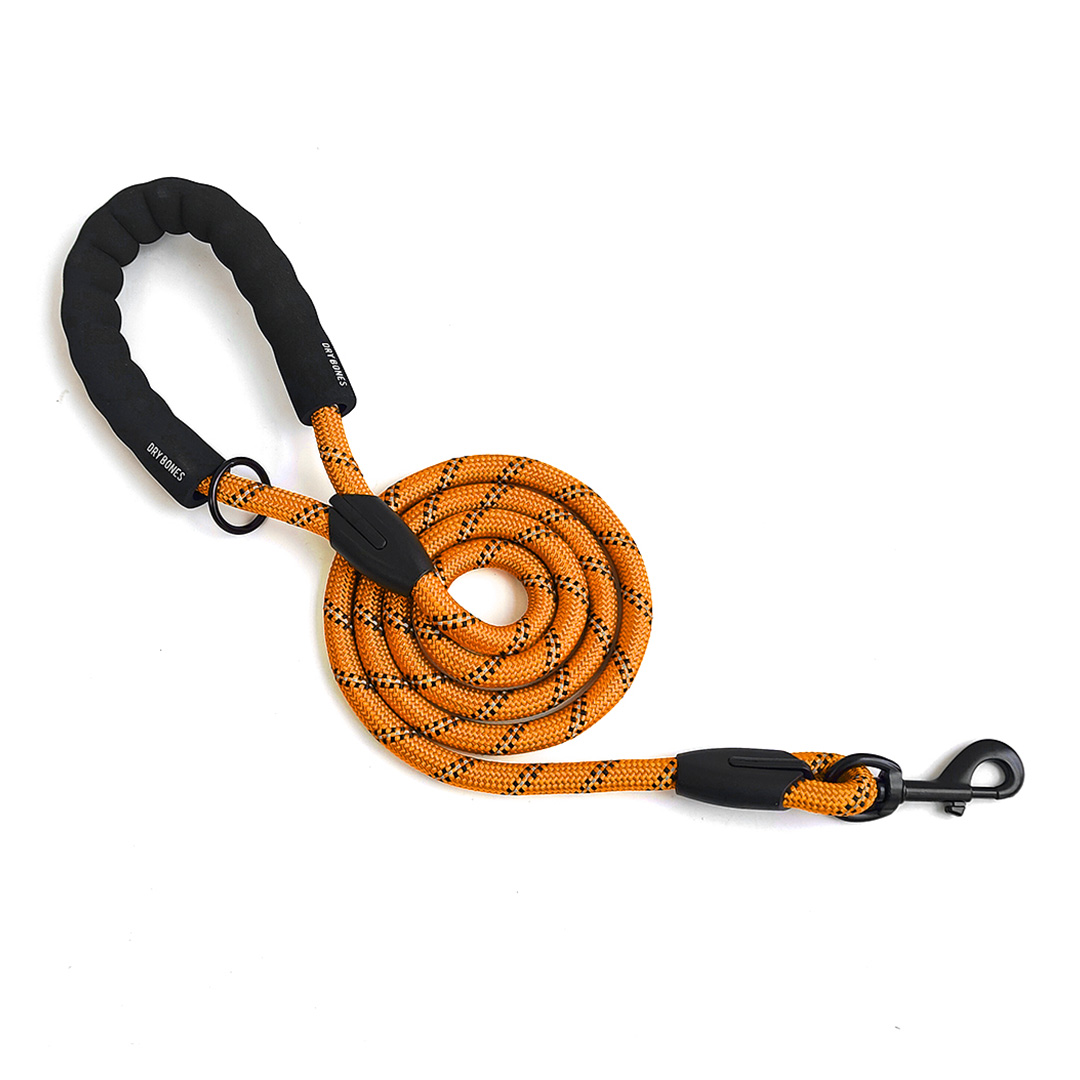 DRYBONES Orange Dog Lead